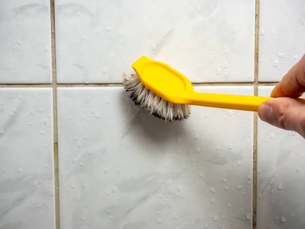Best Mold Remediation for Specific Building Types in Jonesville, VA