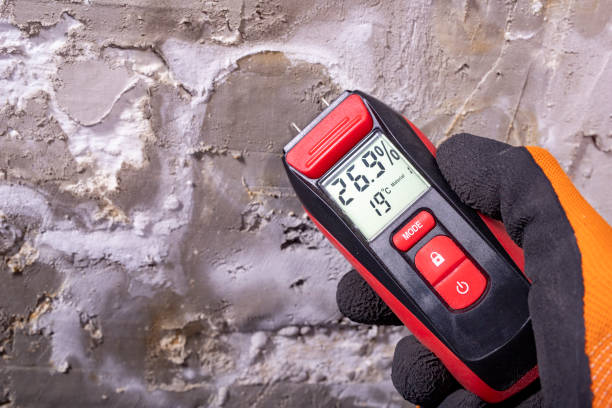 Best Health and Safety Mold Remediation in Jonesville, VA