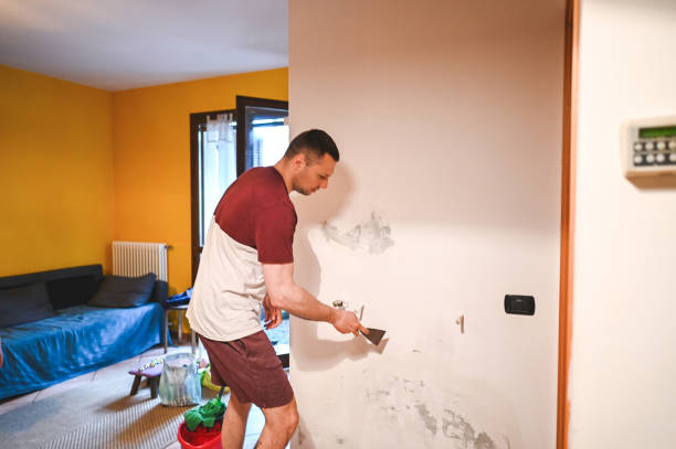 Best Residential Mold Remediation in Jonesville, VA